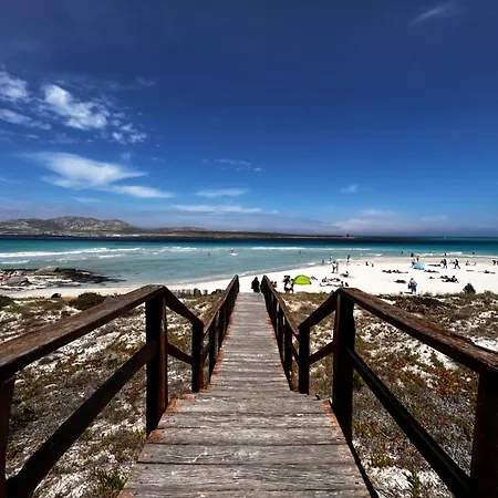 Darrere Del Port Alghero