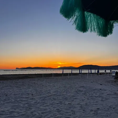 Darrere Del Port Alghero